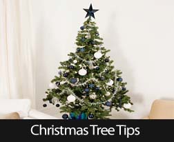 5 Ways To Use Your Dead Christmas Tree